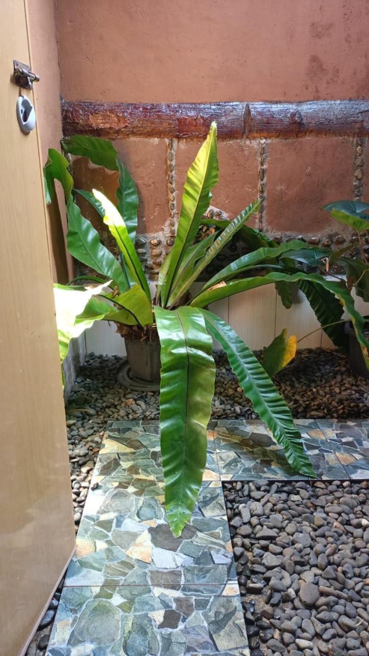 Brown Bamboo Guest House & Trekking Bukit Lawang Exteriör bild